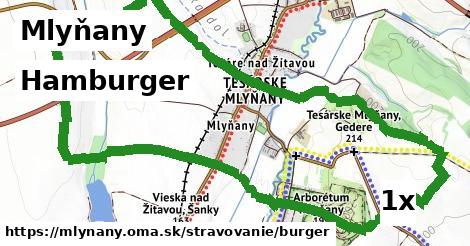 Hamburger, Mlyňany