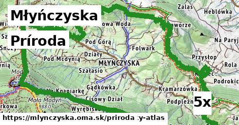 príroda v Młyńczyska