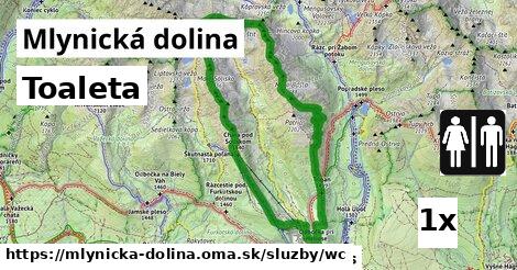 Toaleta, Mlynická dolina