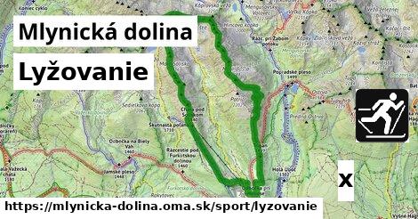 Lyžovanie, Mlynická dolina