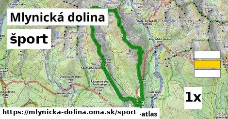 šport v Mlynická dolina