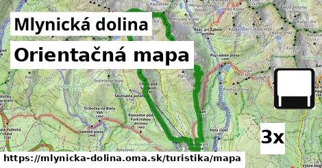 Orientačná mapa, Mlynická dolina