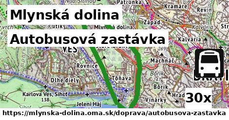 Autobusová zastávka, Mlynská dolina