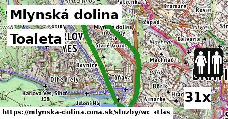 Toaleta, Mlynská dolina