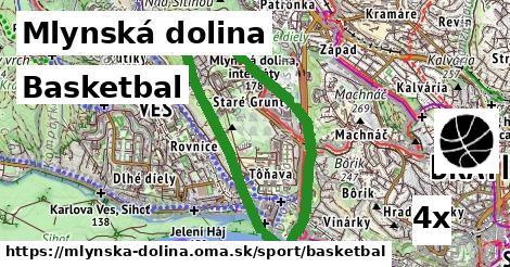 basketbal v Mlynská dolina