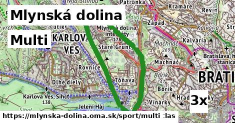 Multi, Mlynská dolina