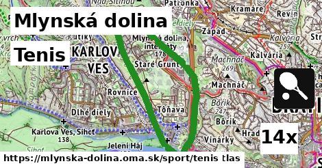 Tenis, Mlynská dolina