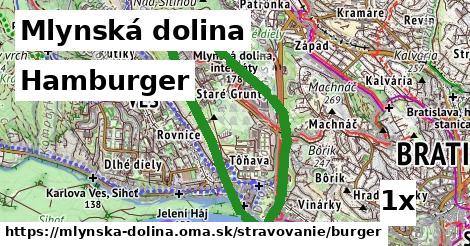 Hamburger, Mlynská dolina