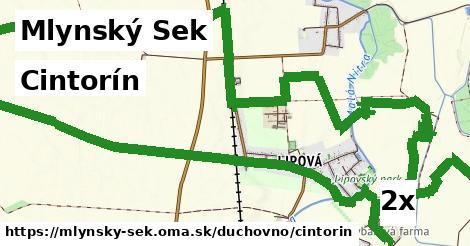 Cintorín, Mlynský Sek