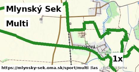 multi v Mlynský Sek