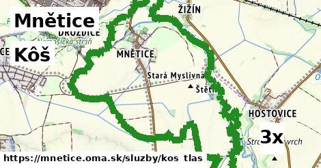 Kôš, Mnětice