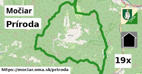 príroda v Močiar