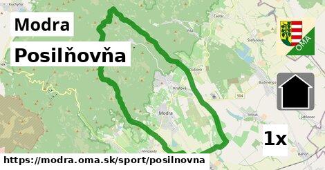 Posilňovňa, Modra