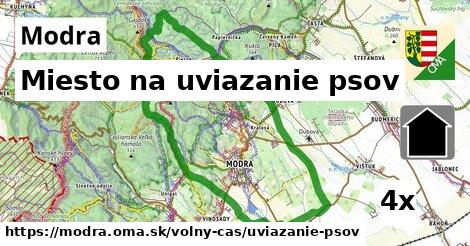 Miesto na uviazanie psov, Modra