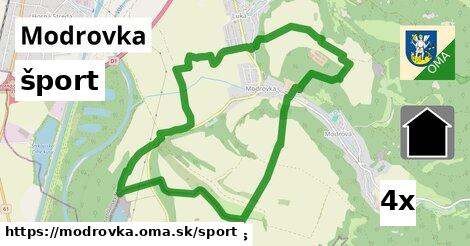 šport v Modrovka