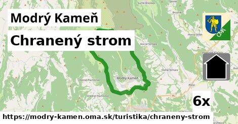 Chranený strom, Modrý Kameň