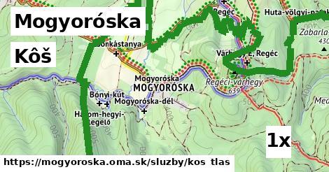 Kôš, Mogyoróska