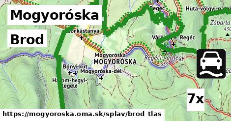 Brod, Mogyoróska