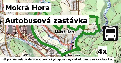 Autobusová zastávka, Mokrá Hora