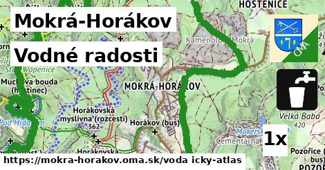 vodné radosti v Mokrá-Horákov