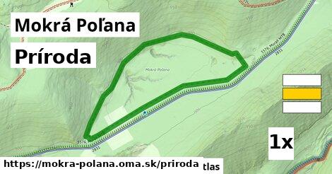 príroda v Mokrá Poľana