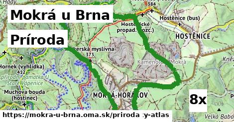 príroda v Mokrá u Brna