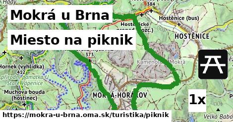 Miesto na piknik, Mokrá u Brna