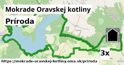 príroda v Mokrade Oravskej kotliny