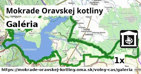 Galéria, Mokrade Oravskej kotliny