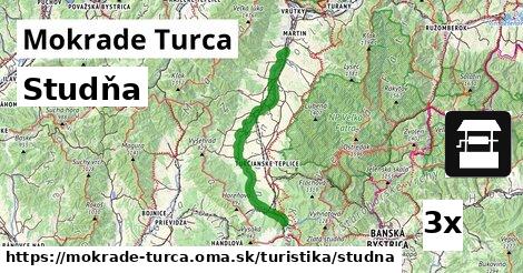 Studňa, Mokrade Turca