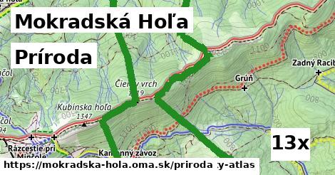 príroda v Mokradská Hoľa