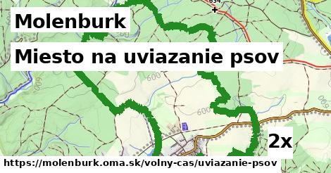 Miesto na uviazanie psov, Molenburk
