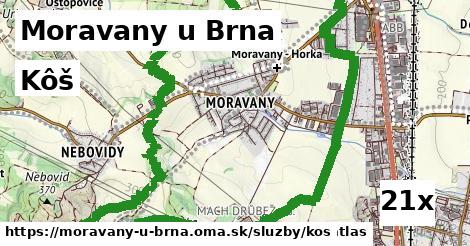 Kôš, Moravany u Brna