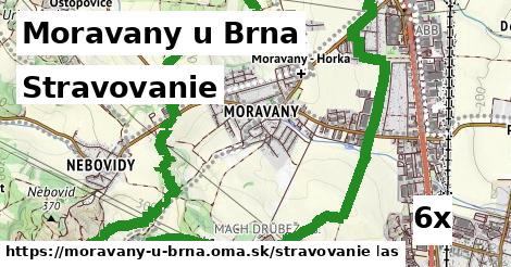 stravovanie v Moravany u Brna