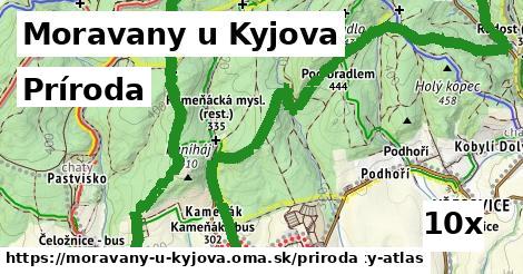 príroda v Moravany u Kyjova