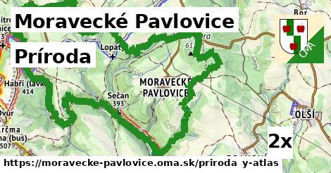 príroda v Moravecké Pavlovice