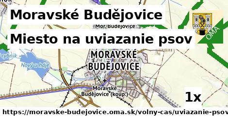 Miesto na uviazanie psov, Moravské Budějovice