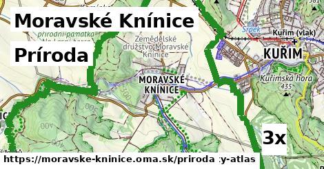 príroda v Moravské Knínice