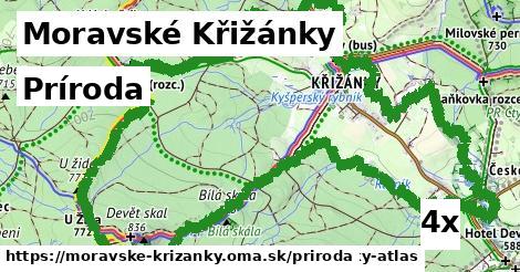 príroda v Moravské Křižánky