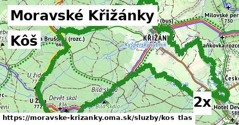 kôš v Moravské Křižánky