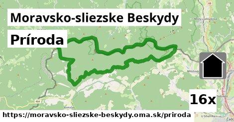 príroda v Moravsko-sliezske Beskydy