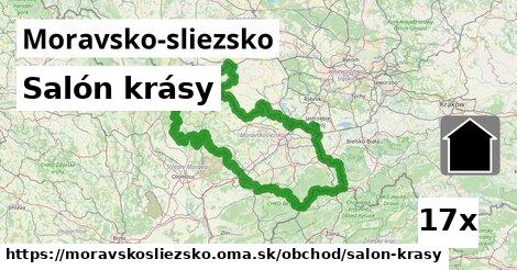 Salón krásy, Moravsko-sliezsko