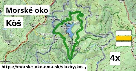 kôš v Morské oko