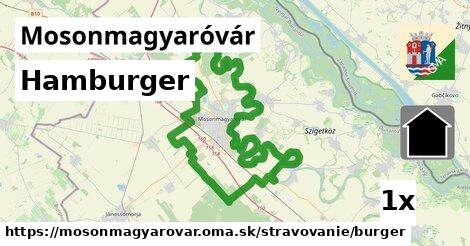 Hamburger, Mosonmagyaróvár