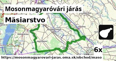 Mäsiarstvo, Mosonmagyaróvári járás