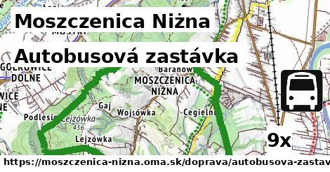 Autobusová zastávka, Moszczenica Niżna