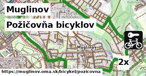 Požičovňa bicyklov, Muglinov