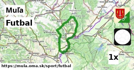 Futbal, Muľa