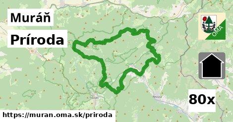 príroda v Muráň