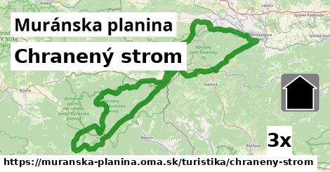 Chranený strom, Muránska planina